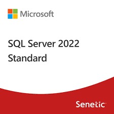 [1400400010] SQL SERVER SOFTWARE PERPETUA/COMMERCIAL ONE TIME 2022 STANDARD EDITION ( DG7GMGF0M80J-2 )